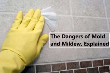 The Dangers of Mold and Mildew