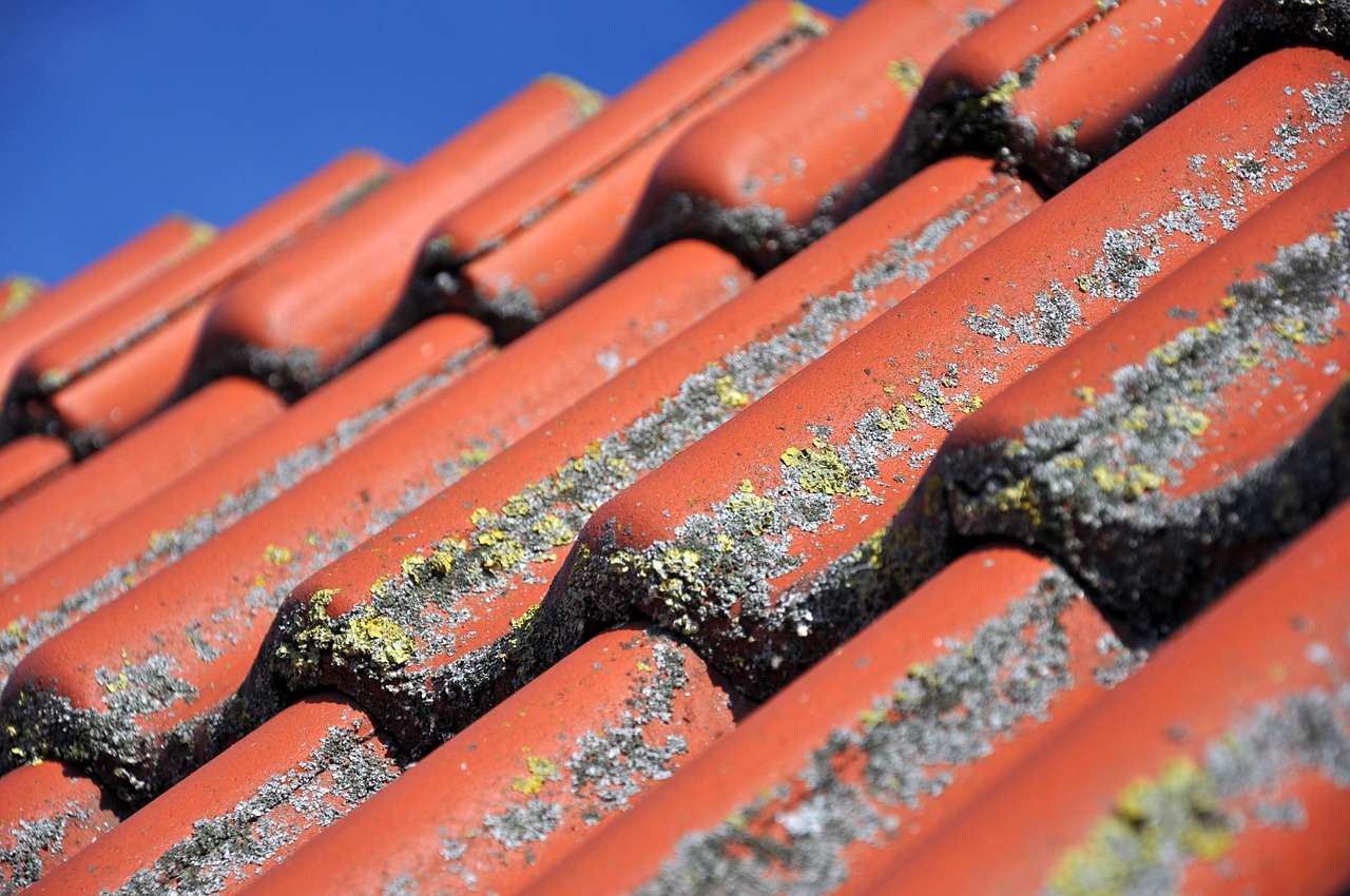 Photo of Look ahead to These Frequent Winter Roof Issues