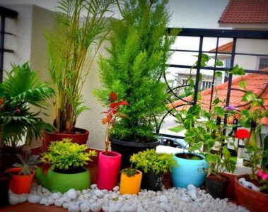 Balcony Landscaping Ideas