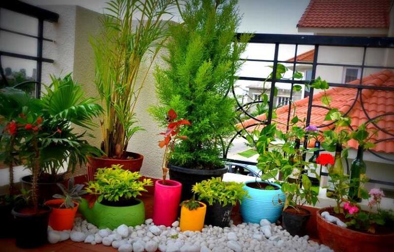 Balcony Landscaping Ideas